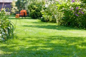 travaux jardin et paysage Ginals